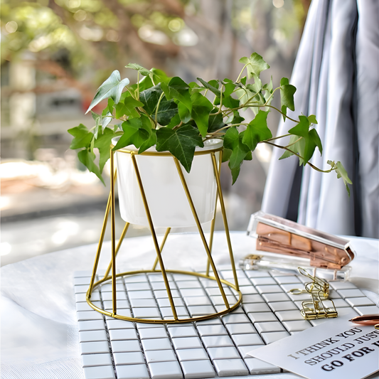 Golden Modern Iron Rack Vase - Golden | Vases | NordicAbode.com