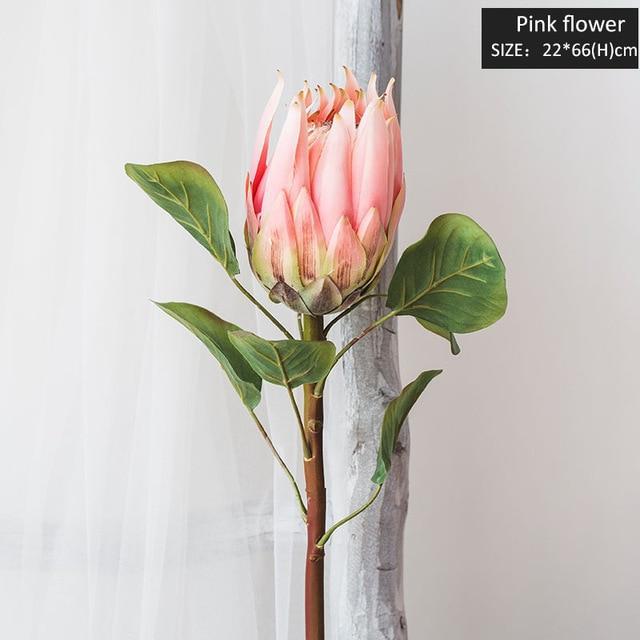 King Protea Bud - Nordic Side - 