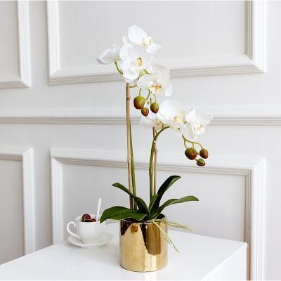 Gold Vase with Orchids - Nordic Side - 