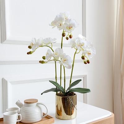 Gold Vase with Orchids - Nordic Side - 