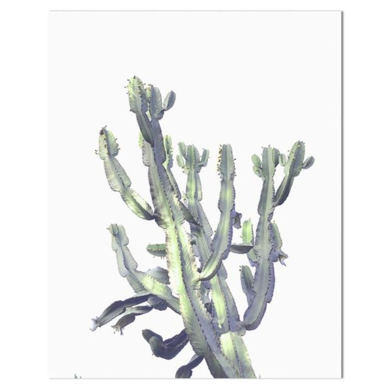 Tropical Cactus Wall Art