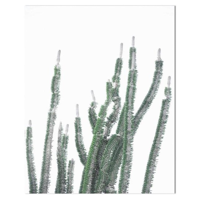 Tropical Cactus Wall Art