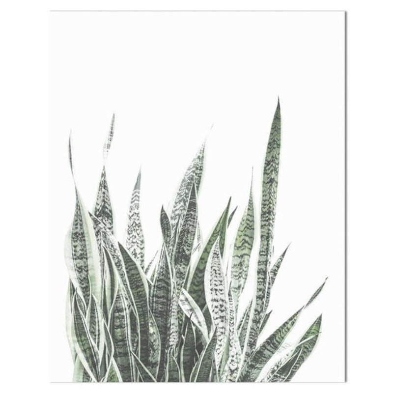 Tropical Cactus Wall Art