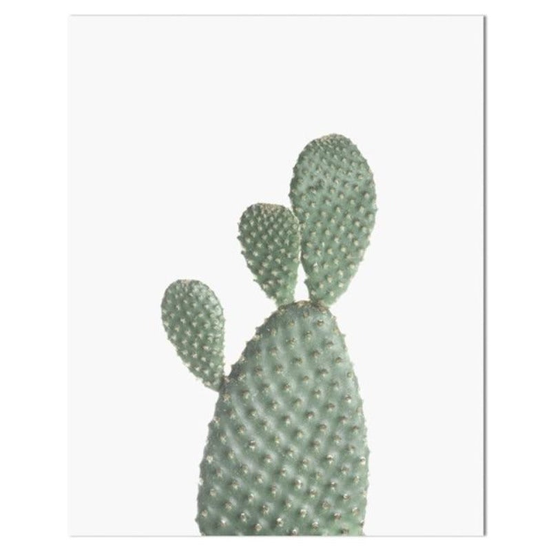 Tropical Cactus Wall Art