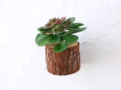 Woody - 3D Imitation Trunk Wall Planter - Nordic Side - 11-18, feed-cl1-planters, modern-farmhouse, modern-planter-collection