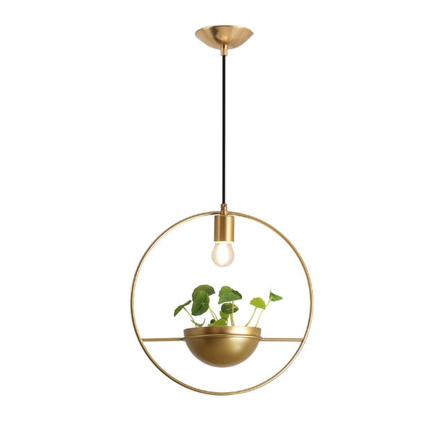 Modern Planter Elegant Pendant Light