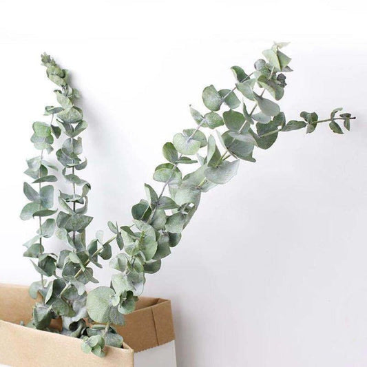 Artificial Eucalyptus Stems (10pcs)