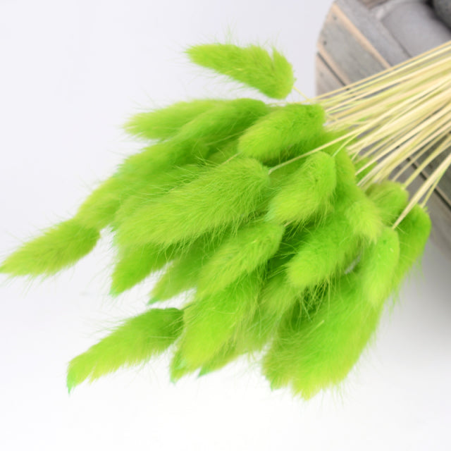 Natural Dried Bunny Tail Rabbit Pampas Grass Bouquet (30 Pieces)