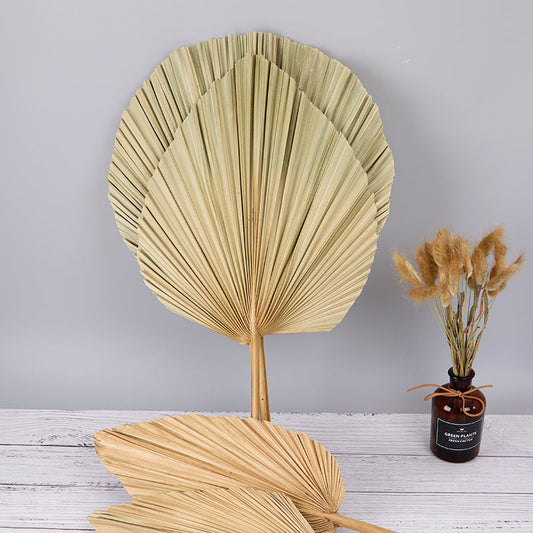 Natural Dried Palm Leaf Fan