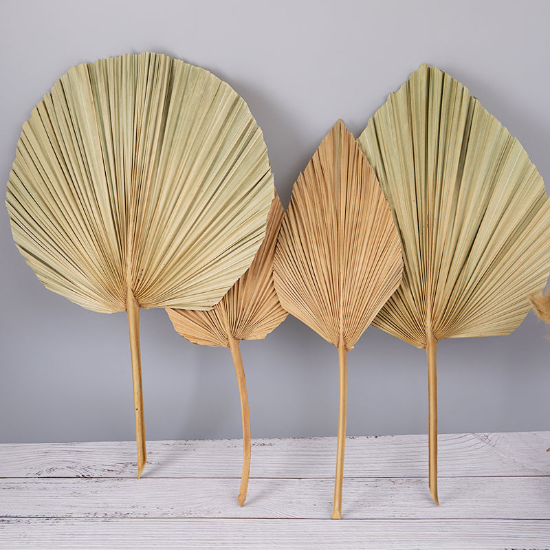 Natural Dried Palm Leaf Fan