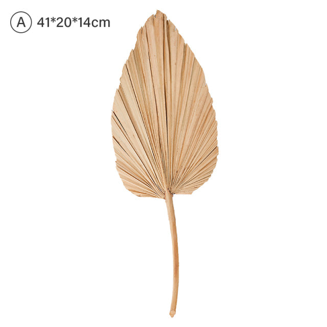 Natural Dried Palm Leaf Fan