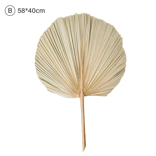 Natural Dried Palm Leaf Fan