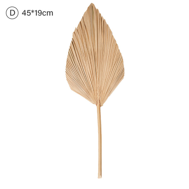 Natural Dried Palm Leaf Fan