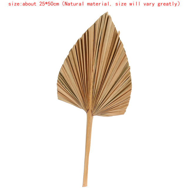 Natural Dried Palm Leaf Fan