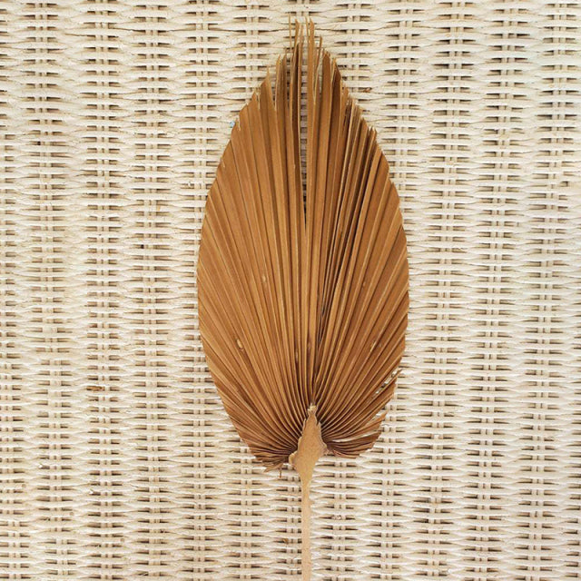 Natural Dried Palm Leaf Fan