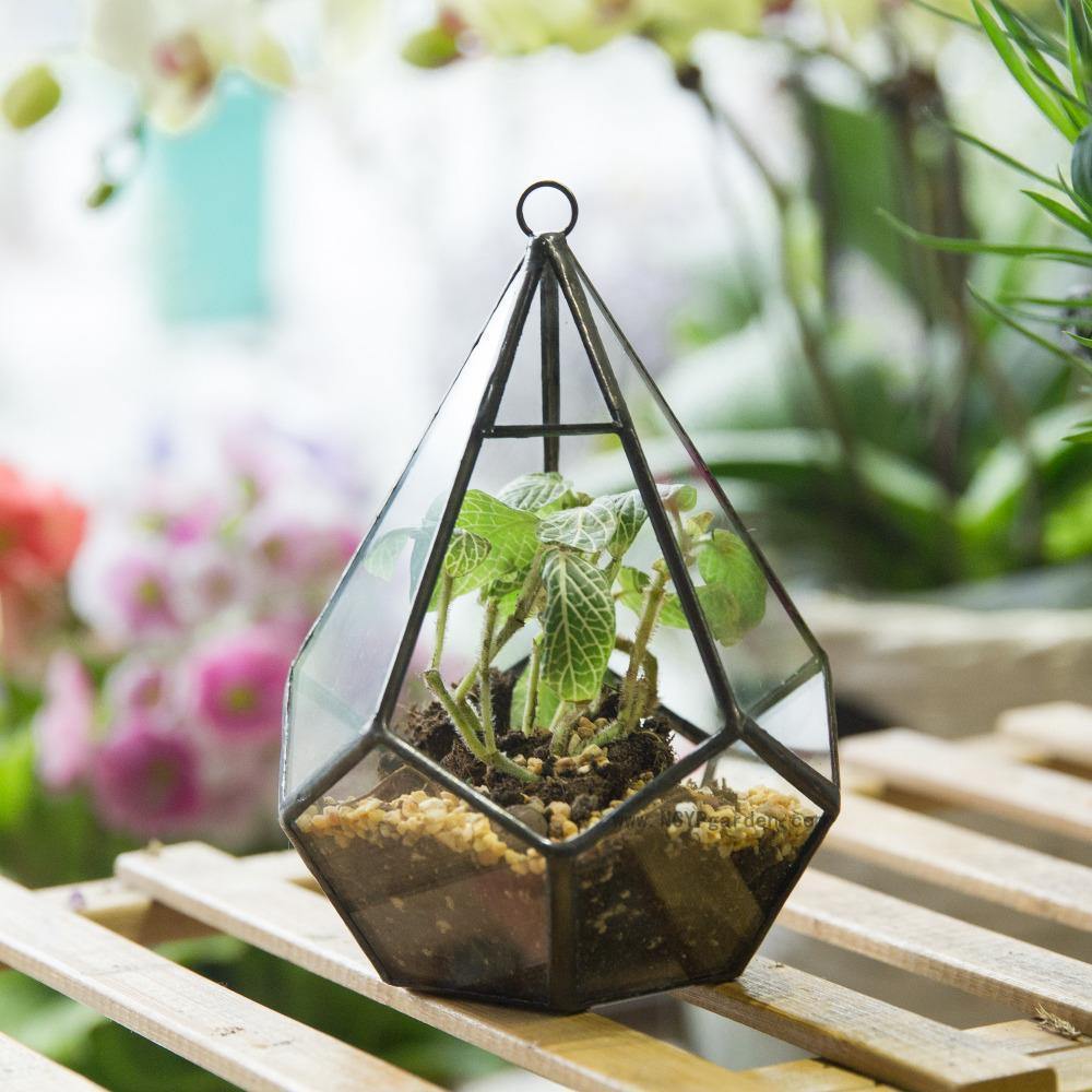 Handmade Terrarium Diamond Holder - Nordic Side - 