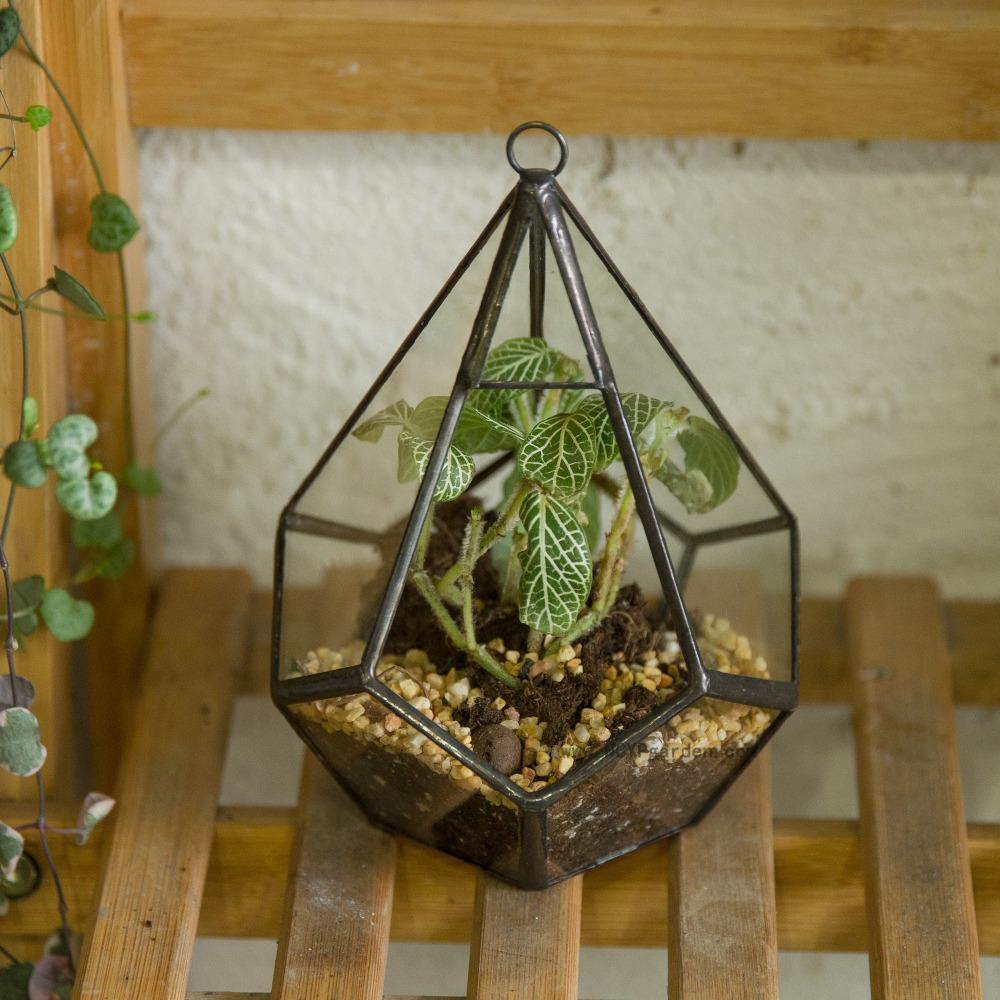 Handmade Terrarium Diamond Holder - Nordic Side - 