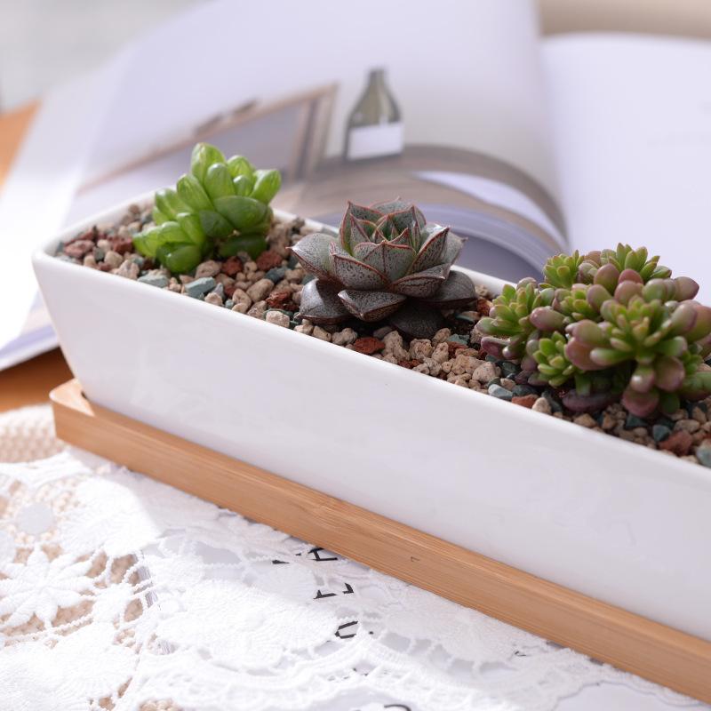 Mini Long Flower Pot