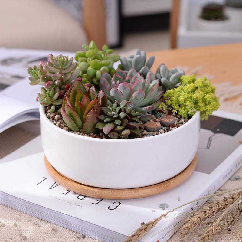 Minimalist White Ceramic Planter