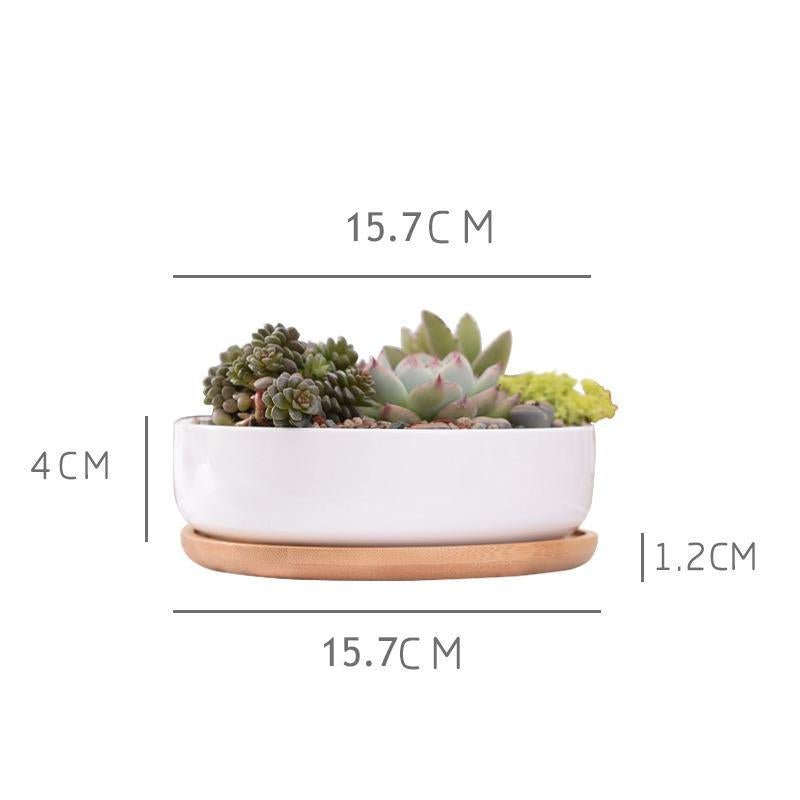 Minimalist White Ceramic Planter