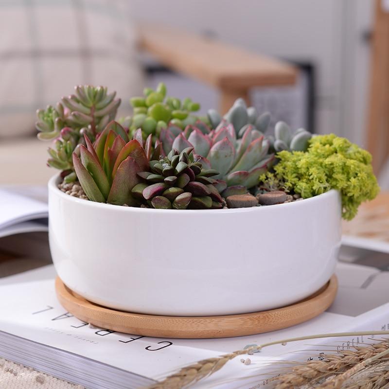 Bahari - Porcelain Round Desktop Succulent Planter - Nordic Side - 05-09