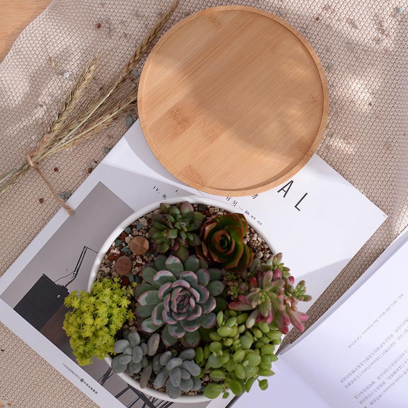 Minimalist White Ceramic Planter