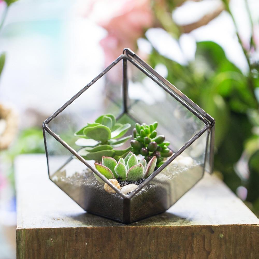 Handmade Terrarium Polyhedron - Nordic Side - 