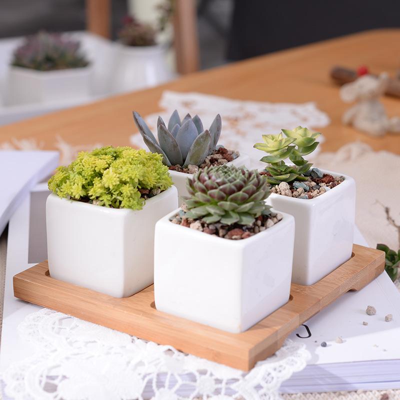 Mini Square Flower Pots