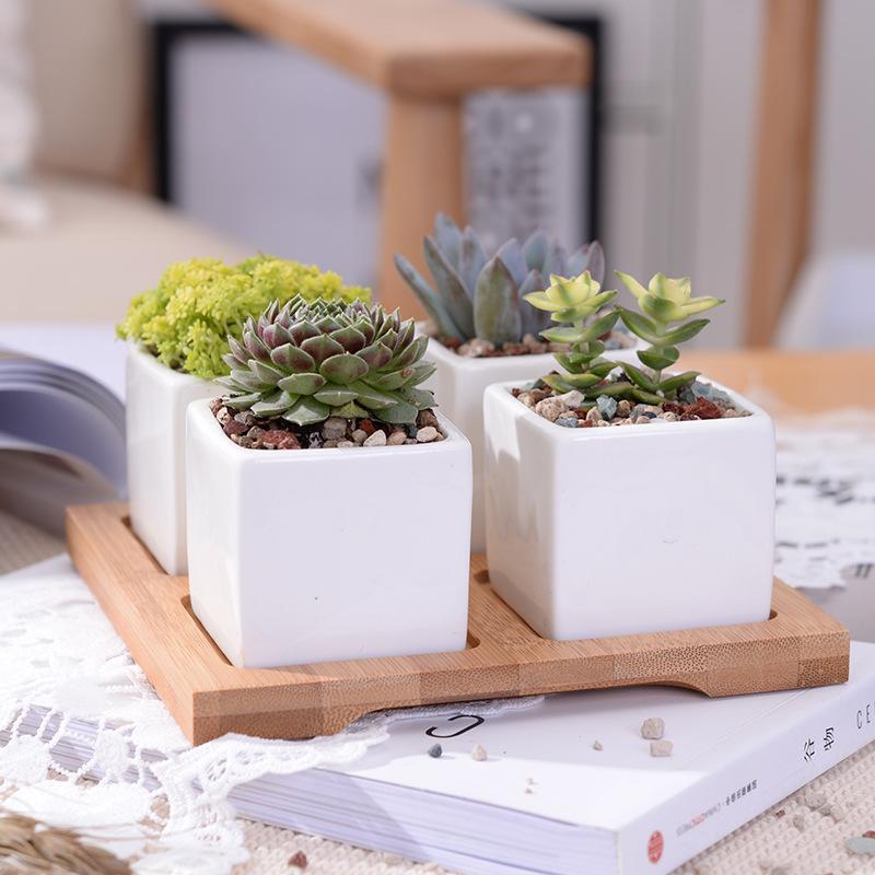 Mini Square Flower Pots