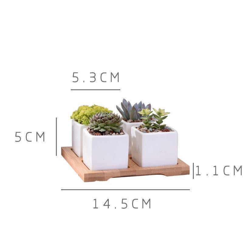 Mini Square Flower Pots