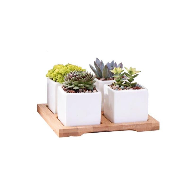 Mini Square Flower Pots