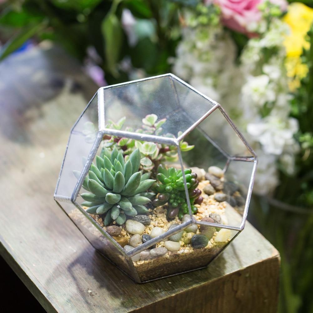 Pentagonal Handmade Terrarium - Nordic Side - 