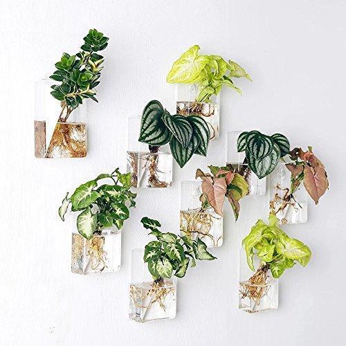 Set of 4 Wall Mountable Planters - Nordic Side - 10-29