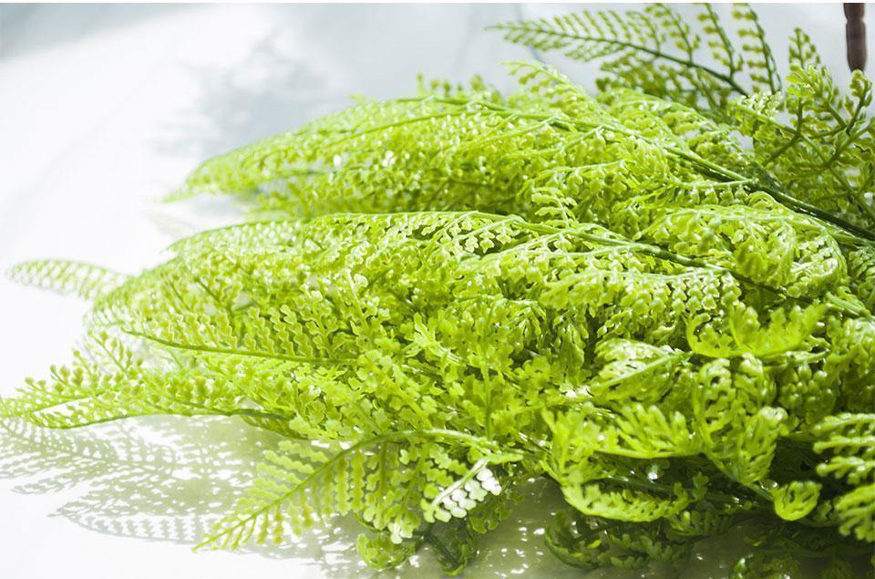 Fern Bush - Nordic Side - 