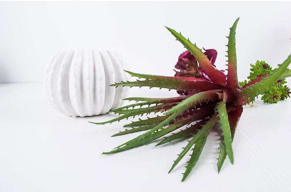 Artificial Aloe Fleshiness Plants - Nordic Side - 