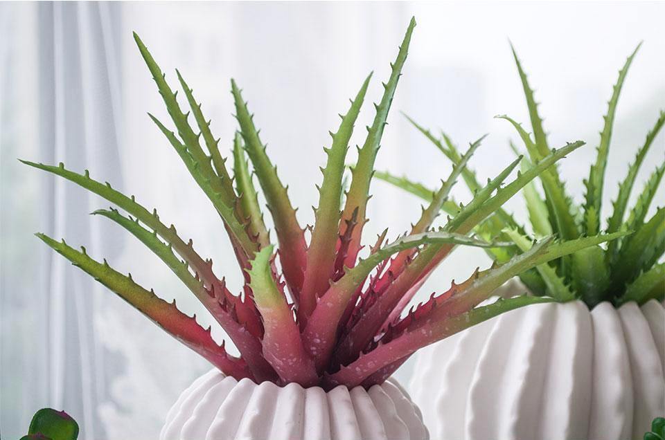 Artificial Aloe - Nordic Side - 