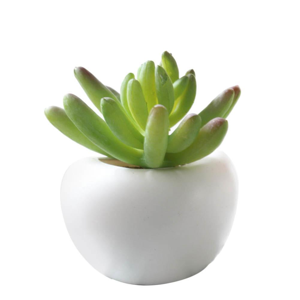 Mini Fridge Magnet Planter - Nordic Side - 11-24