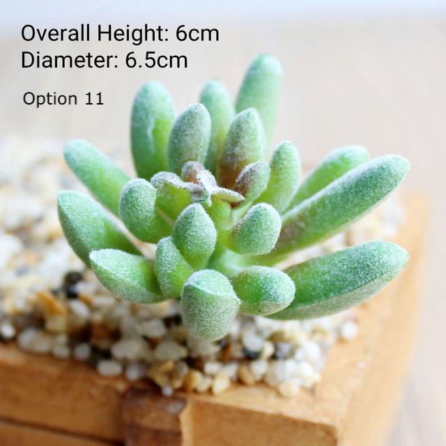 Artificial Succulent - Nordic Side - 