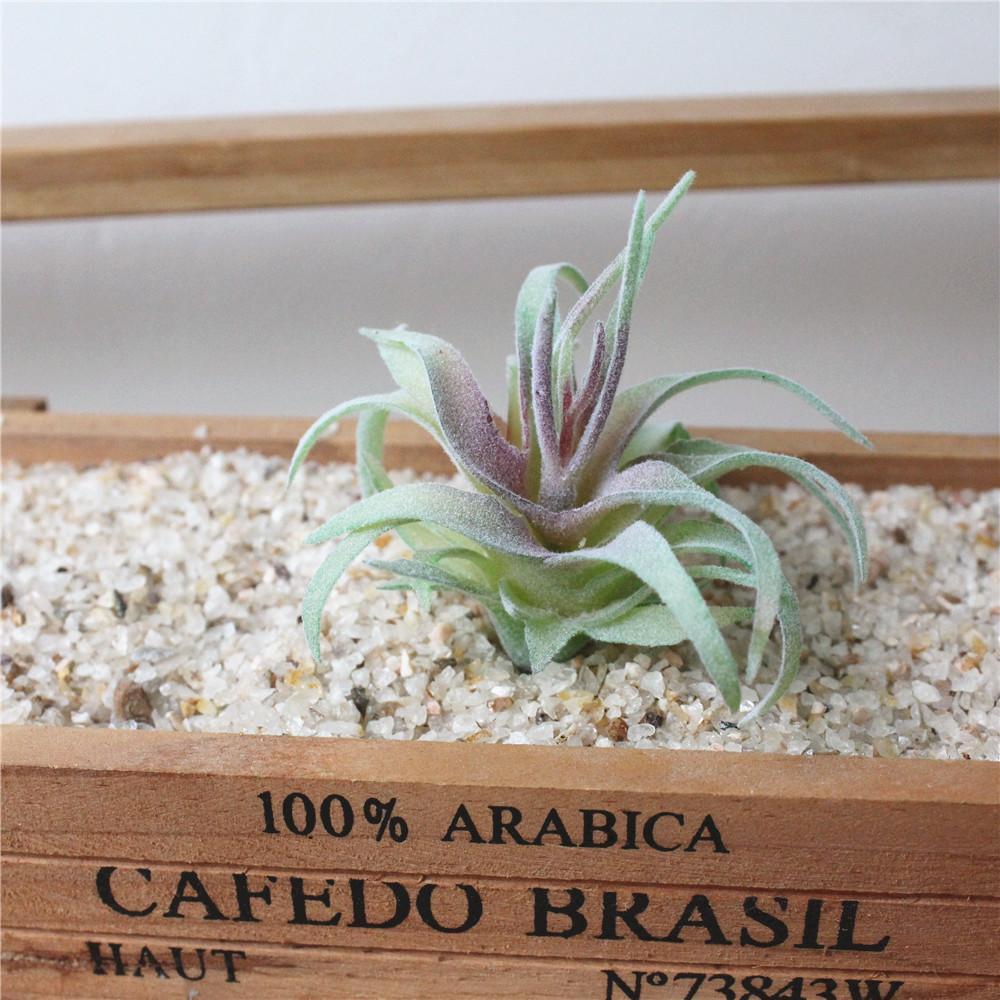 Artificial Succulent - Nordic Side - 