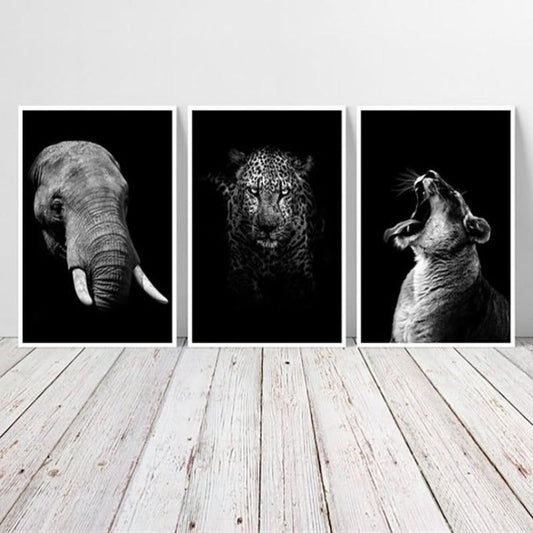 Wild Animal Photographic Wall Art