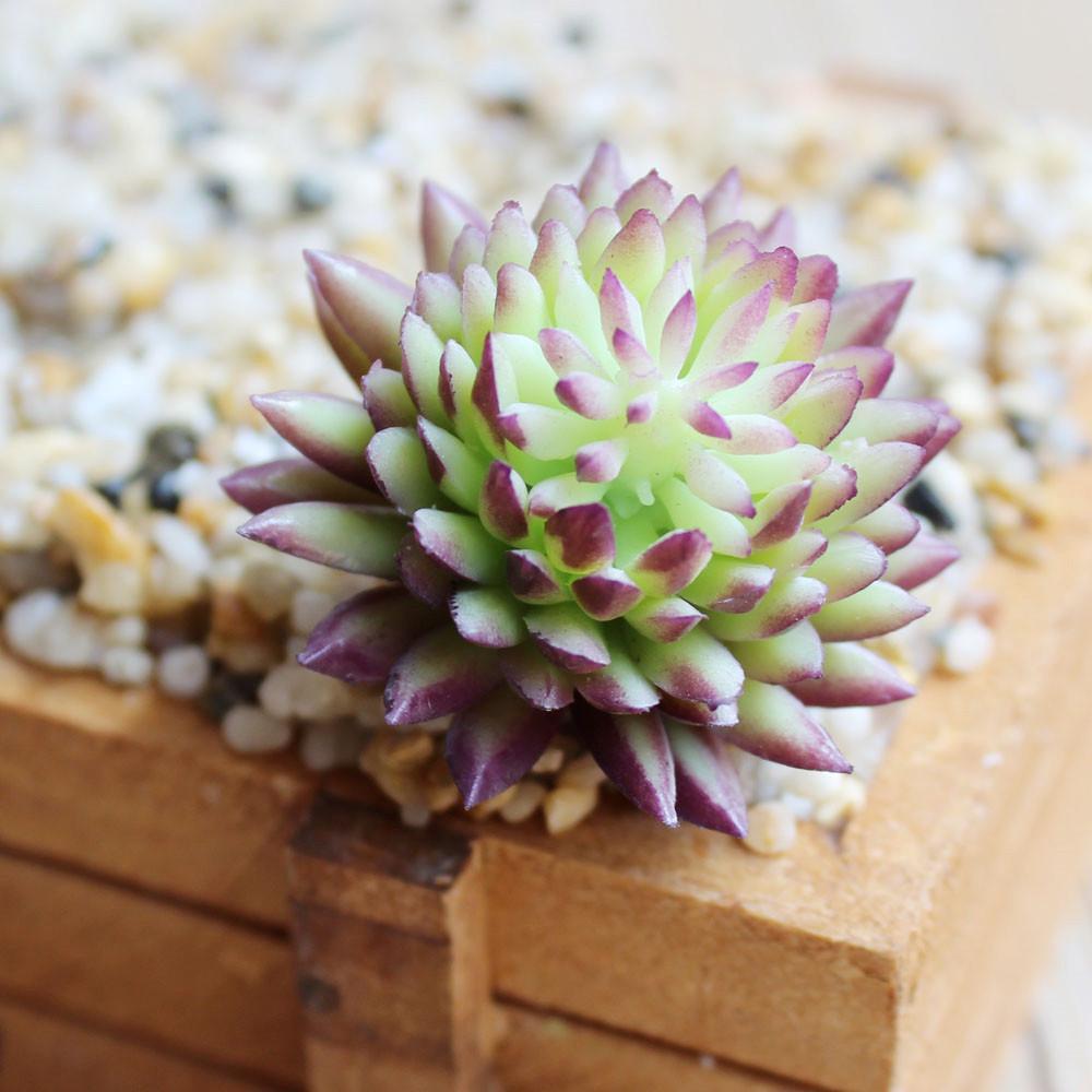 Purple Artificial Succulent - Nordic Side - 