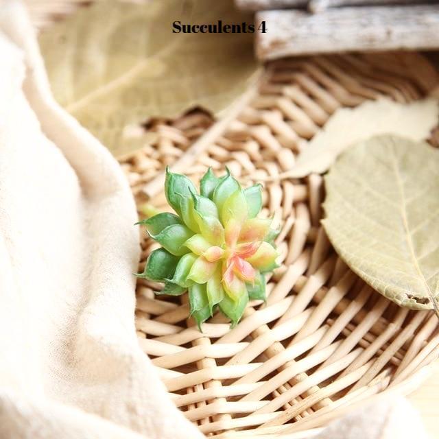 Artificial Succulents Variety - Nordic Side - 