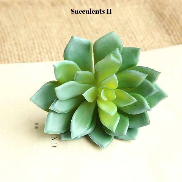 Artificial Succulents Variety - Nordic Side - 