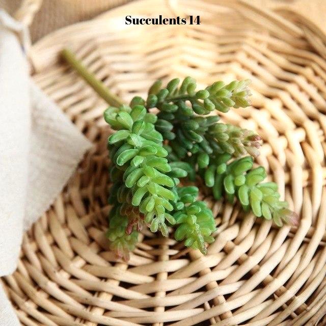 Artificial Succulents Variety - Nordic Side - 