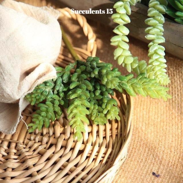 Artificial Succulents Variety - Nordic Side - 