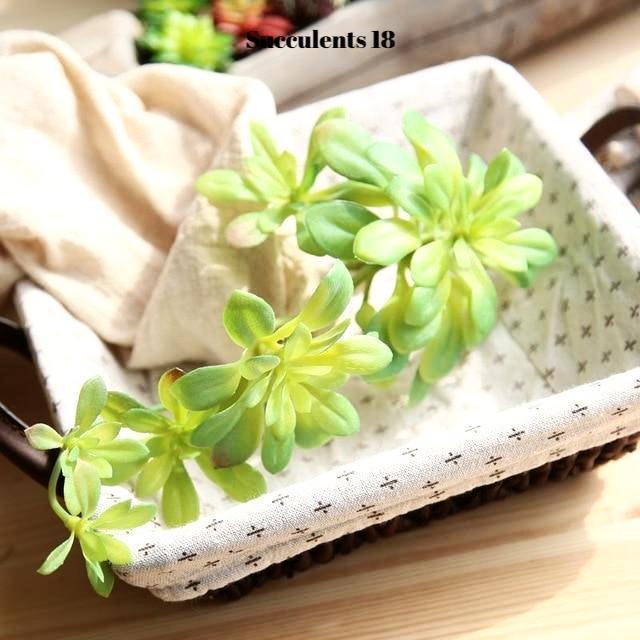 Artificial Succulents Variety - Nordic Side - 