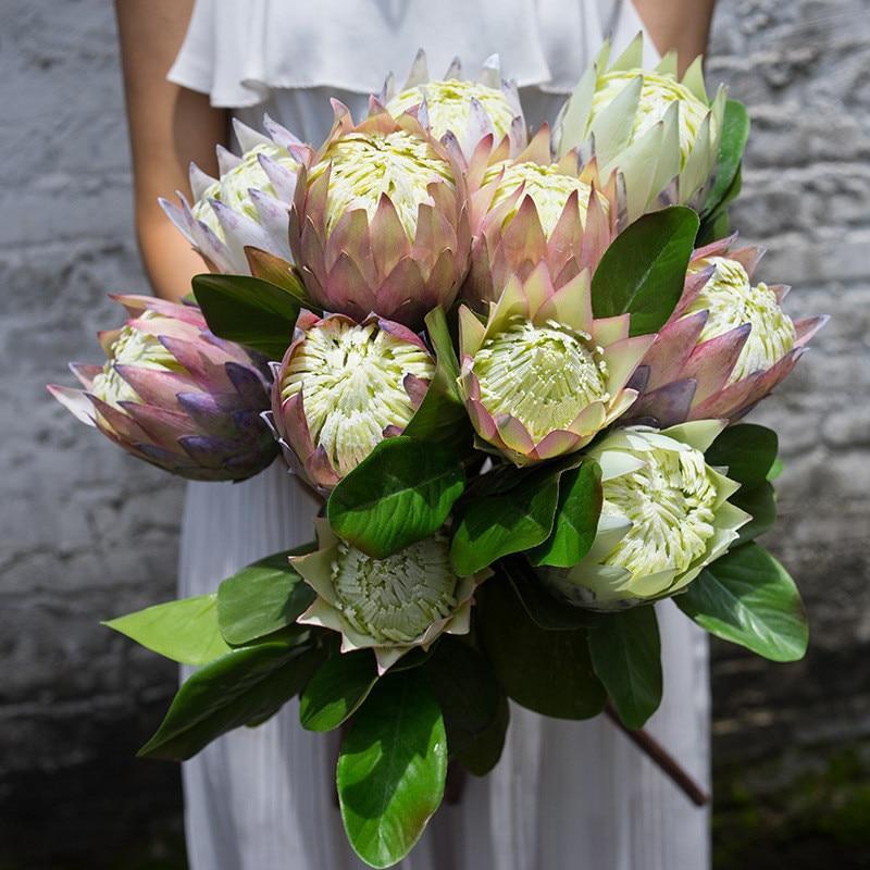 Protea Flower - Nordic Side - 