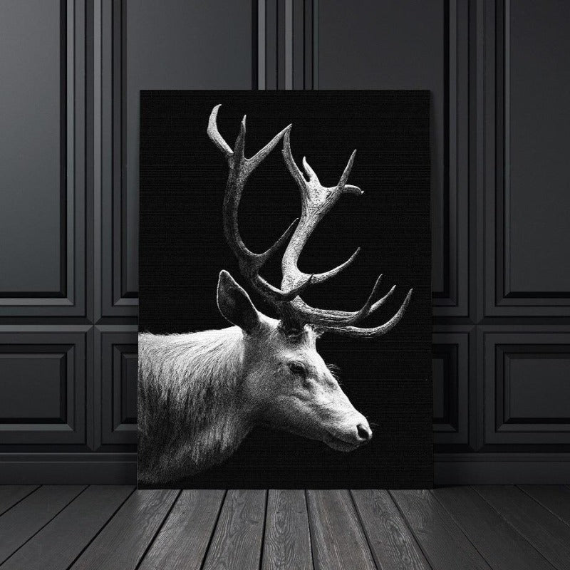 Wild Animal Photographic Wall Art