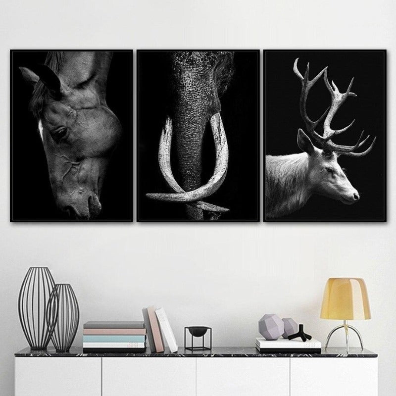 Wild Animal Photographic Wall Art