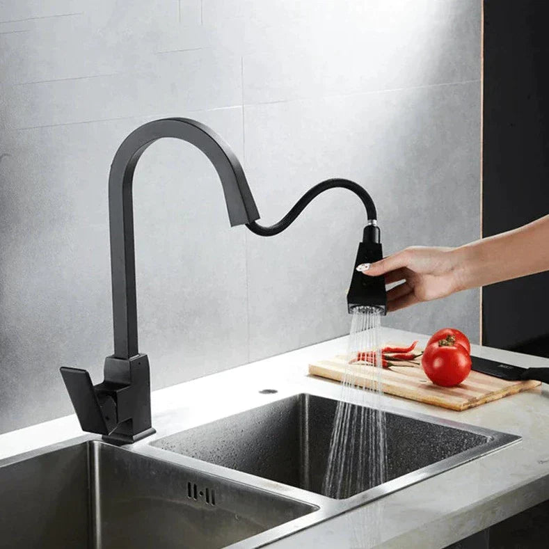 Modern Pull Out Kitchen Faucet